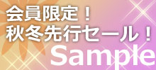 仮画像